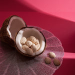 Coconut with white interior and small brown and white cookies on a pink background